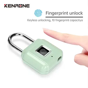 Mini lucchetti antifurto impermeabili lucchetto per borsa di sicurezza biometrica con impronte digitali intelligenti