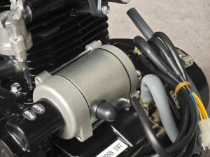 Motore per Triciclo Bajaj Zongshen <span class=keywords><strong>Dede</strong></span> 4 Tempi 200cc Raffreddato ad Acqua Nuova Condizione Accensione CDI Avviamento Elettrico e a Pedale - Product Image 6