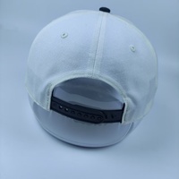 Gorra de Béisbol de 6 Paneles con Logotipo Bordado en 3D Personalizado, Mezcla de Lana, Cierre Trasero Ajustable, Tejido Transpirable e Impermeable