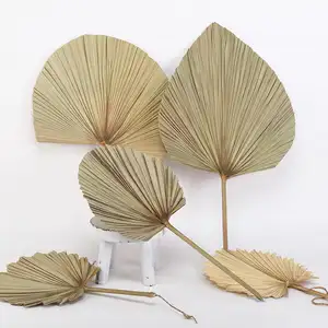 Top Seller Dried Flowers Palm Leaf Home Wedding Decoration Natural Dry Fan Palm Leaf
