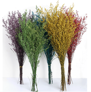 Lover di Limonium essiccato di Caspia conservato in erba Limonium conservato per composizioni floreali e decorazioni - Product Image 3