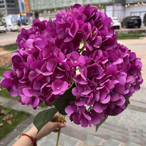 Haute Qualité Européenne 5 Tête Fleurs Artificielles Réaliste Bourgogne Hortensia Table De <span class=keywords><strong>Mariage</strong></span> Vase <span class=keywords><strong>Décoration</strong></span> - Product Image 3