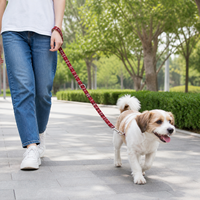 Laisse pour chien en coton et lin avec crochet pivotant à 360° en alliage de zinc, petit anneau en D, laisse de promenade pour animaux de compagnie douce et écologique
