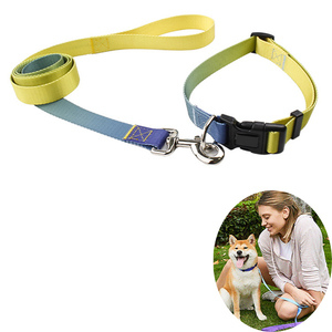 Design all'ingrosso di lusso retrattile per animali domestici in Pvc Paracord collare per cani personalizzato Set di collari e guinzagli per cani personalizzati - Product Image 3