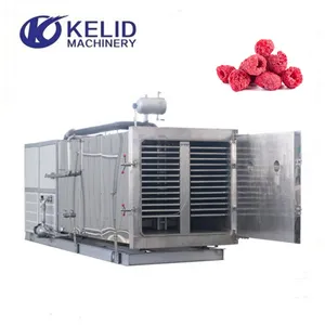 PLC Hot Selling Pet Feed Fresh Meat Freeze Dryer Drying Equipment