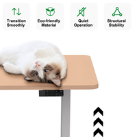 Fabricant de meubles de système de contrôle intégré Bureau debout Bureau réglable à double moteur Table électrique pour bureau