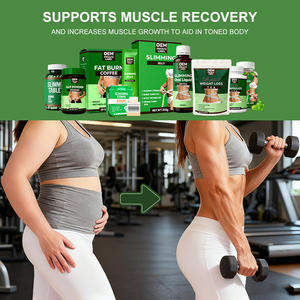 Tiras Adelgazantes de 14 Días de Fábrica OEM ODM, Extracto de Té Verde, Supresor del Apetito, Apoya la Recuperación Muscular - Product Image 4