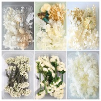 Bunga Kering Grosir Bahan DIY Bunga Asli Buatan Tangan Bingkai Foto Kipas Bunga Paket Bahan