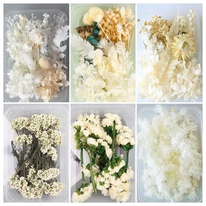 Paquete de Material de Flores Secas al por Mayor para Manualidades, Flores Reales Hechas a Mano, Material para Marcos de Fotos y Abanicos - Product Image 6