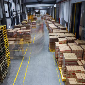 Fret aérien, logistique internationale professionnelle et bon marché, service porte à porte de la Chine à l'Inde, service DDU/LCL - Product Image 4