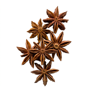 Anís estrellado seco en piezas enteras, especias naturales de Vietnam, anís estrellado en hojas individuales, especias crudas. - Product Image 1