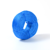 Corde torsadée en PE noir haute ténacité et durable 8mm/38mm/14mm 365m pour emballage de bateaux marins