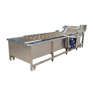 Bubble Washing Machine Cleaning Mach Cleaner Device Fruit Vegetable Cleaning Machine