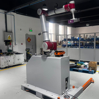 Máquina Paletizadora Robótica, Paletizadora Automática para Cajas de Cartón y Bolsas con Marco de Plástico