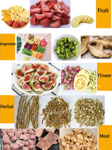 Meilleure Qualité 10kg 15kg Lyophilisateur Alimentaire Séchage Lyophilisateur Machine Prix pour La Maison Avec <span class=keywords><strong>Pompe</strong></span> <span class=keywords><strong>À</strong></span> Vide Sans Huile Usa En Stock - Product Image 4