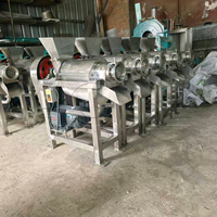 Machine à jus industrielle automatique pour l'extraction de jus de fruits, légumes, oranges, ananas, pommes, système de production