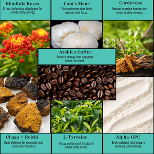OEM ODM Pilz-Kaffee Arabica Portionen zur Unterstützung der Darmgesundheit, Reduzierung des Zellstress mit Vitamin B12 - Product Image 3