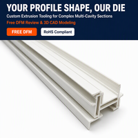 Profils extrudés personnalisés en PVC, PC, PE, PA6 avec un design moderne, longueur sur mesure pour les applications en fenêtres et en extérieur