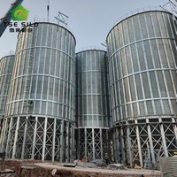 Silo de stockage de céréales modulaire à fond trémie pour usine d'aliments pour animaux et entrepôt de céréales
