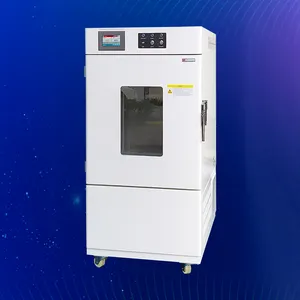 Intelligent Programmable Drug Medical Long Time Accelerate Test Laboratory Equipment With Incubator