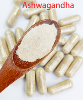 Nutrition biologique OEM extrait de racine d'Ashwaganda en poudre KSM-66 capsules d'Ashwagandha
