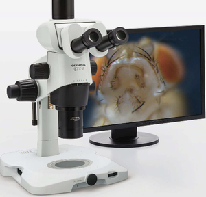 Stereomicroscope dẫn truyền và phản ánh Olympus szx16 - Product Image 2