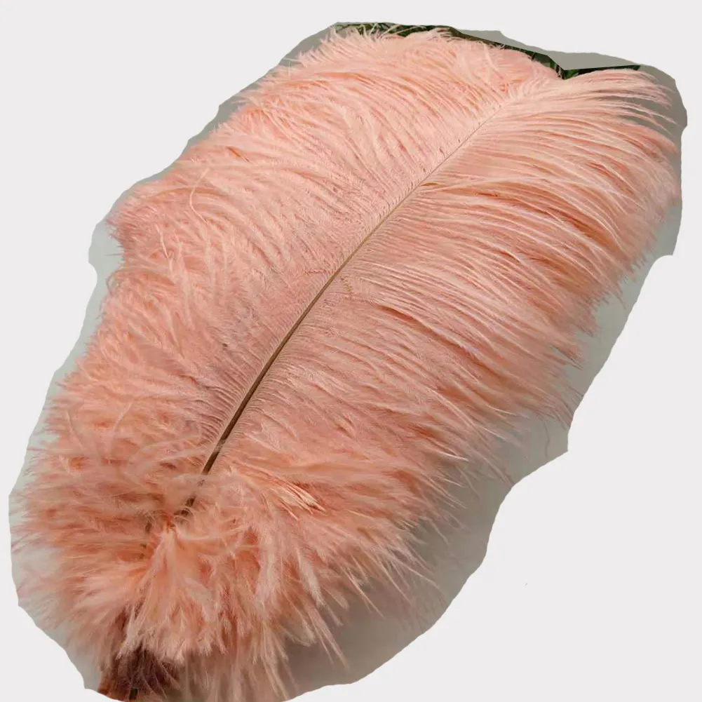 65 ~ 70CM Pabrik Penjualan Langsung Bulu Burung Unta Sampanye Bulu Bulu Burung Unta Merah Muda Favorit untuk Dekorasi Pernikahan