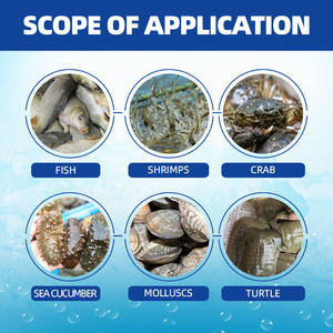 Pond Protect-C avec des acides aminés de qualité alimentaire Restaure la santé de l'eau Gère la croissance des algues Assure une écosystème d'étang équilibré - Product Image 6