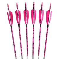 Flèches en carbone pour tir à l'arc, ID 6,2 mm, Spine 300-600, Plumes de dinde de 4 pouces pour arcs composés et classiques, Chasse et sports de tir en extérieur