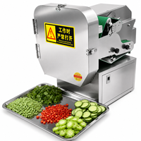 Trancheuse électrique pour plantains, bananes, manioc, chips de pommes de terre et transformation de légumes |   Coupeur à taille réglable pour usage industriel
