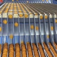 Machine à empiler les biscuits de type roue étoilée, avec arrangement en canal et roulettes sans compression latérale pour ligne de production de biscuits
