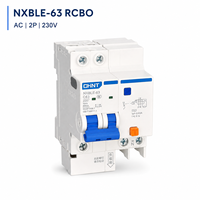 Disjoncteur différentiel RCBO NXBLE-63 230V 400V Courbe B C 6kA pour Distributeurs Électriques (Vente en Gros)