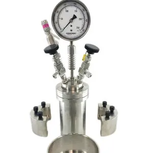Micro 100ml Stainless Steel High Pressure Mixer Reaction Vessel Stirred Reactor