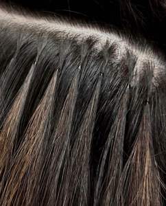 Venta al por mayor de extensiones de cabello humano virgen vietnamita U Tip Extensiones de cabello 22 pulgadas de doble dibujado - Product Image 2