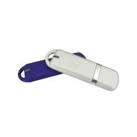 Model plastik Flash Drive USB promosi murah Populer 1GB 2GB 4GB 8GB Stik USB 16GB 32GB
