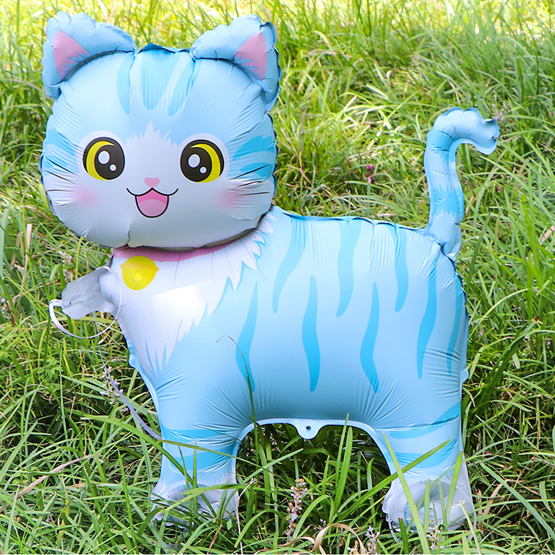 chaton bleu