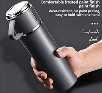 Ensemble de 3 Bouteilles Isothermes en Acier Inoxydable avec Coffret Cadeau – Anti-fuite – Idéal pour les Cadeaux d'Affaires