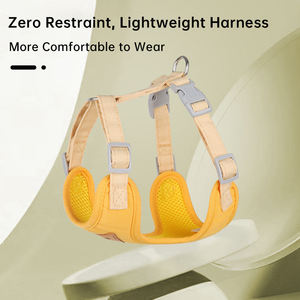 Laisse personnalisée pour chien Teddy, harnais pour chien personnalisé avec broderie, harnais de traction avant, laisse et collier pour chien, fournitures pour animaux de compagnie - Product Image 3