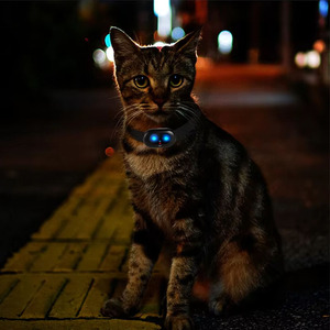 4G <strong>Sim</strong> <strong>Card</strong> GPS <strong>Tracker</strong> Tracking with Anti-Theft Smart Geo Fencing Pet Collar GPS <strong>Tracker</strong> for Dog Cat - Product Image 1