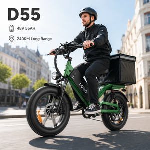 Bicicleta Eléctrica de Carga D55 con Autonomía de 240 km, Batería de Gran Capacidad, Cuadro de Aluminio, Bicicleta Eléctrica para Flotas de Reparto y Logística de Última Milla - Product Image 1