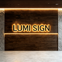 Letrero Luminoso LED 3D Personalizado con Letras de Canal Metálicas Retroiluminadas, Logotipo Comercial, Resistente al Agua, para Exteriores y Tiendas