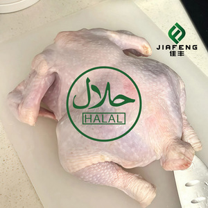 <span class=keywords><strong>Pollo</strong></span> Entero Congelado con Sabor Intenso a Carne, Masticable y No Seco ni Graso - Product Image 4