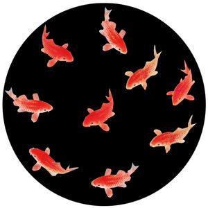 Gobo a todo color Lente de Cristal Gobo disco láser imágenes suministro de fábrica personalizado - Product Image 3