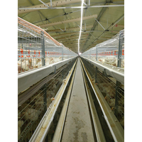 Équipement de cages automatiques pour poules pondeuses : Nouvelles cages avicoles automatiques à mailles de fil métallique cryptées et plus grossières