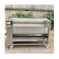 Automatische Data Palm Reinigen Polijsten Machine Borstel Roll Droge Wasmachine Voor Datum