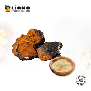 ผงชากา LiGNO CG06 คุณภาพสูงจากผู้ผลิตมาเลเซีย เหมาะสำหรับครีมและเซรั่มบำรุงผิวหน้าต่อต้านริ้วรอย - Product Image 1