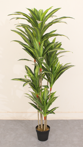 Plantes Artificielles Décoration Maison Dracaena Arbre - Product Image 4