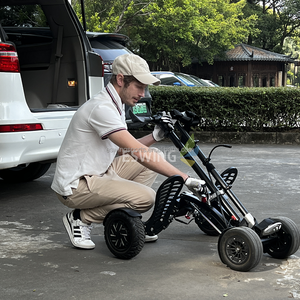 ESWING Scooter Elettrico a 4 Ruote, Carrello da Golf Portatile Compatto, Nuovo Design, Velocità Massima 25km/h, in Offerta - Product Image 3