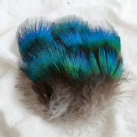 Plume de Paon Naturelle de 3 à 8 cm, pour Coiffure, Costumes de Carnaval, Danse, DIY