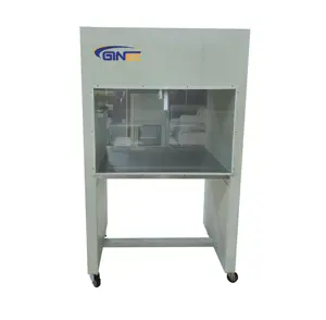 Ginee Medical Cheap Electric Clean Room Work Bench Horizontal Laminar Flow Clean Bench Mushroom Cultivation Products